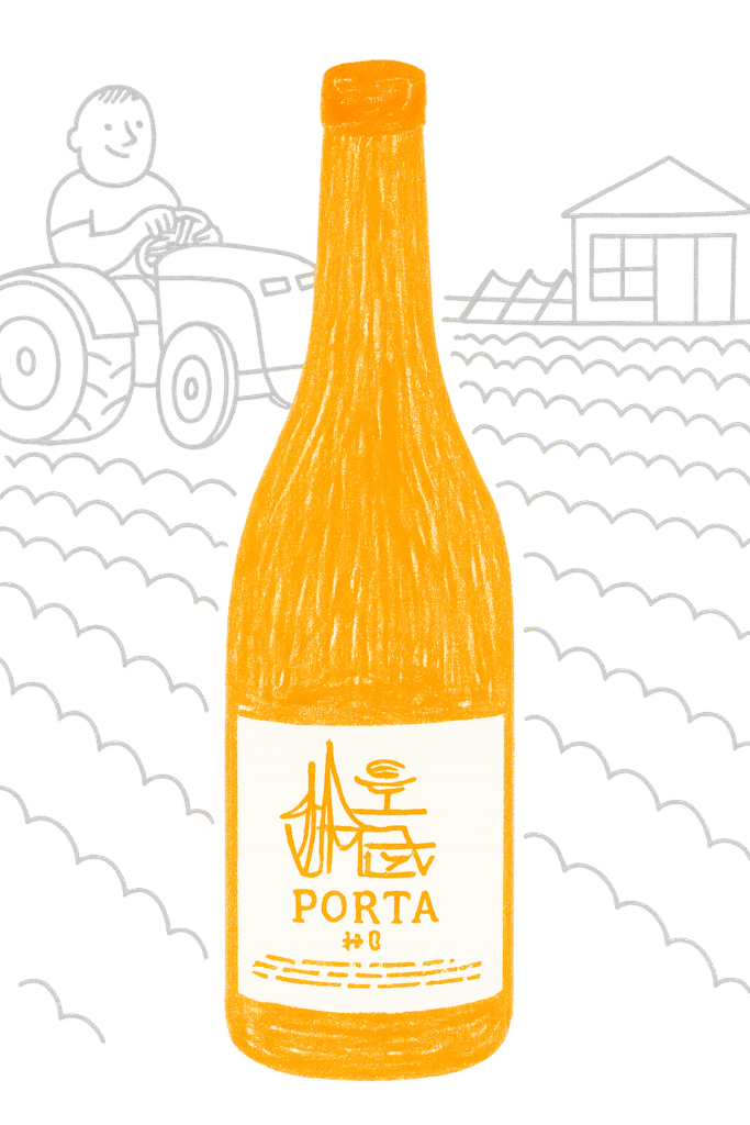 porta 8