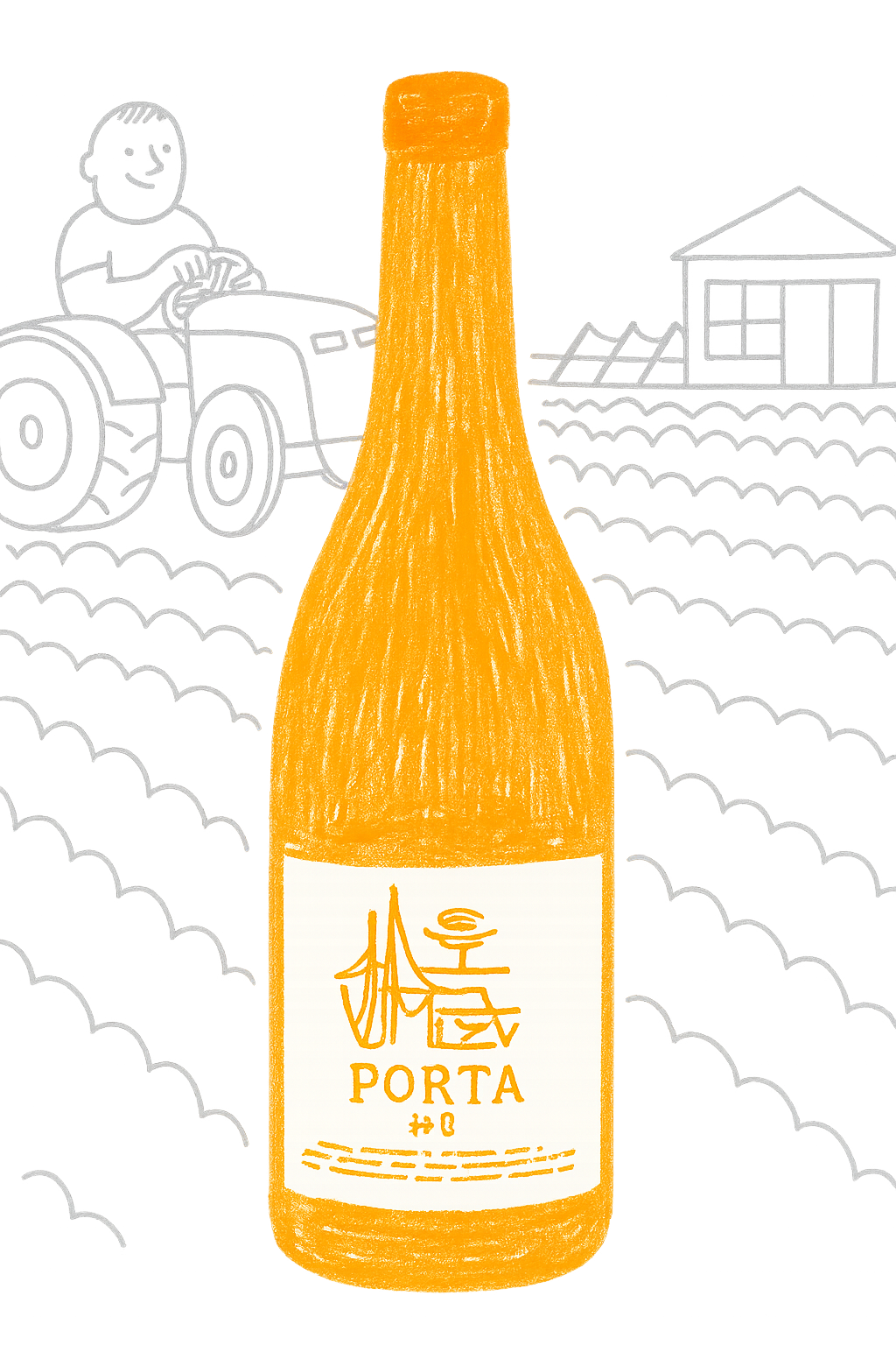 porta 8