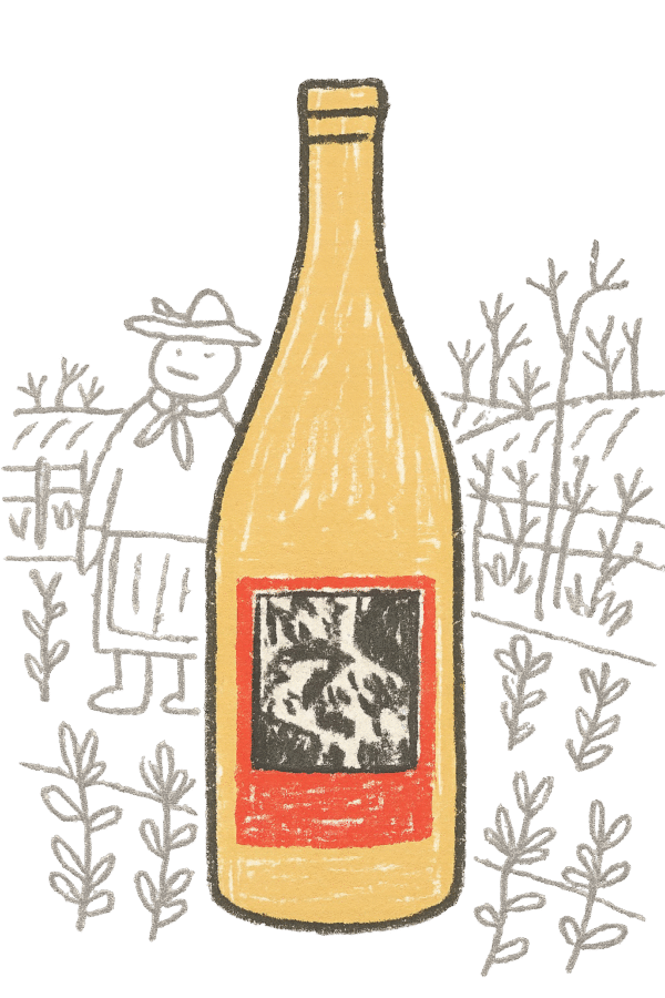pinot blanc -1954-