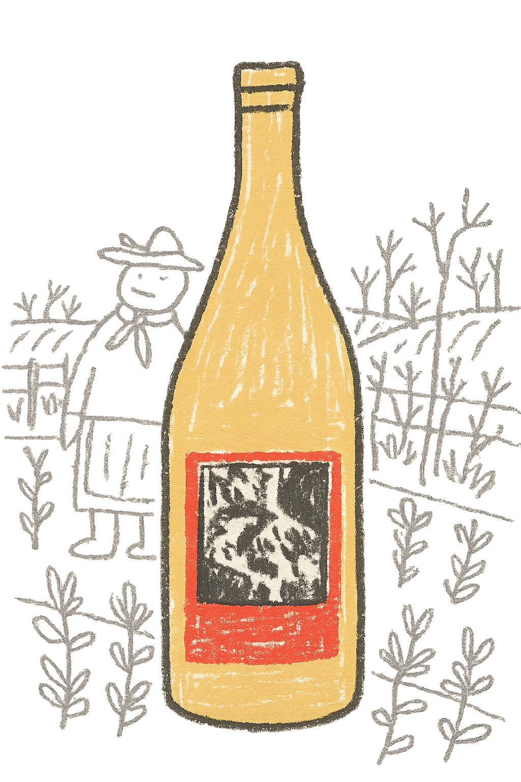 pinot blanc -1954-