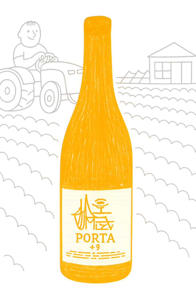 porta 9