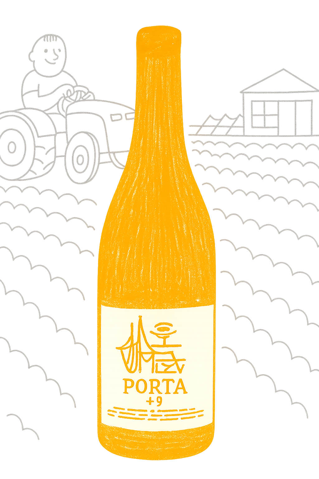 porta 9