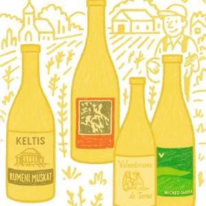 white wine set with ieva elvyra